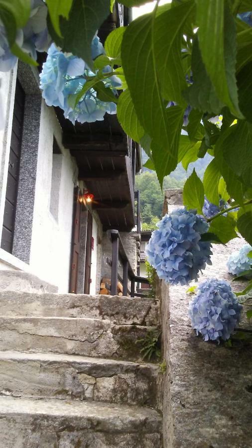 فيلا Casa Zizi كرودو المظهر الخارجي الصورة